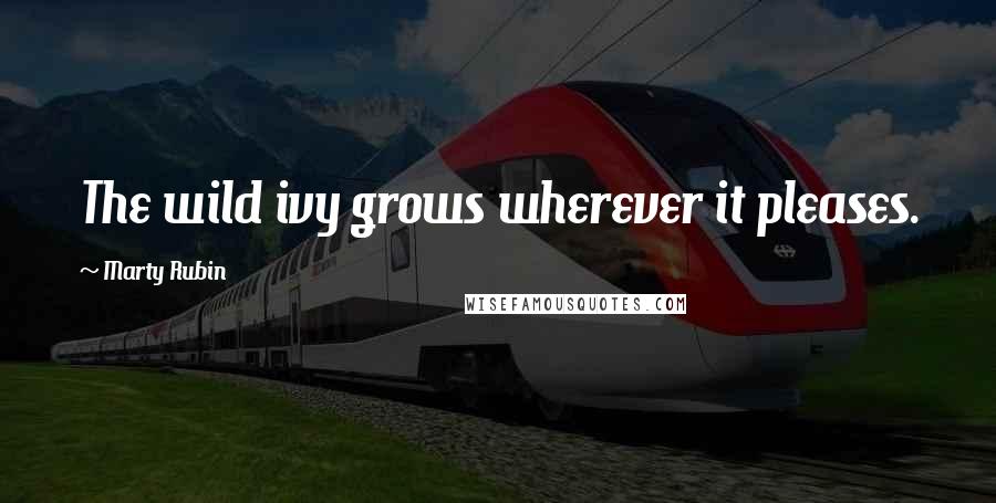 Marty Rubin Quotes: The wild ivy grows wherever it pleases.