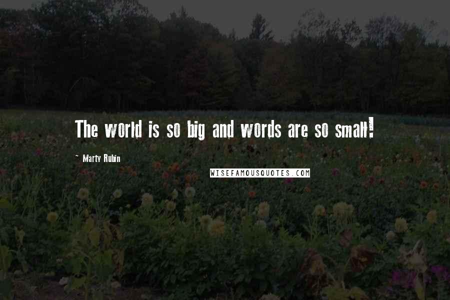 Marty Rubin Quotes: The world is so big and words are so small!