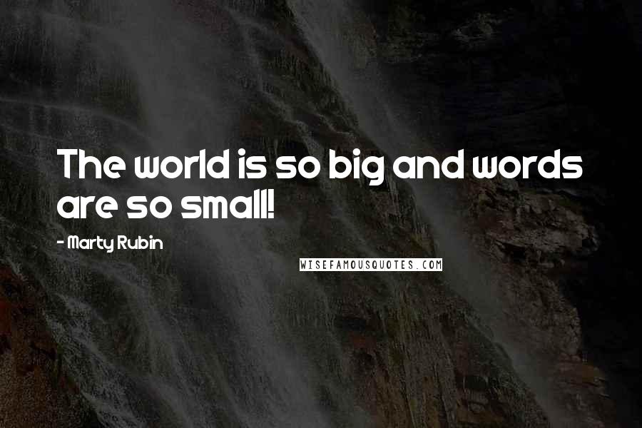 Marty Rubin Quotes: The world is so big and words are so small!