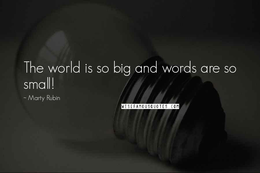 Marty Rubin Quotes: The world is so big and words are so small!