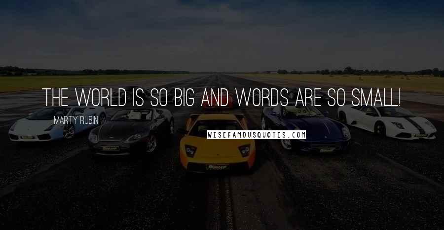 Marty Rubin Quotes: The world is so big and words are so small!