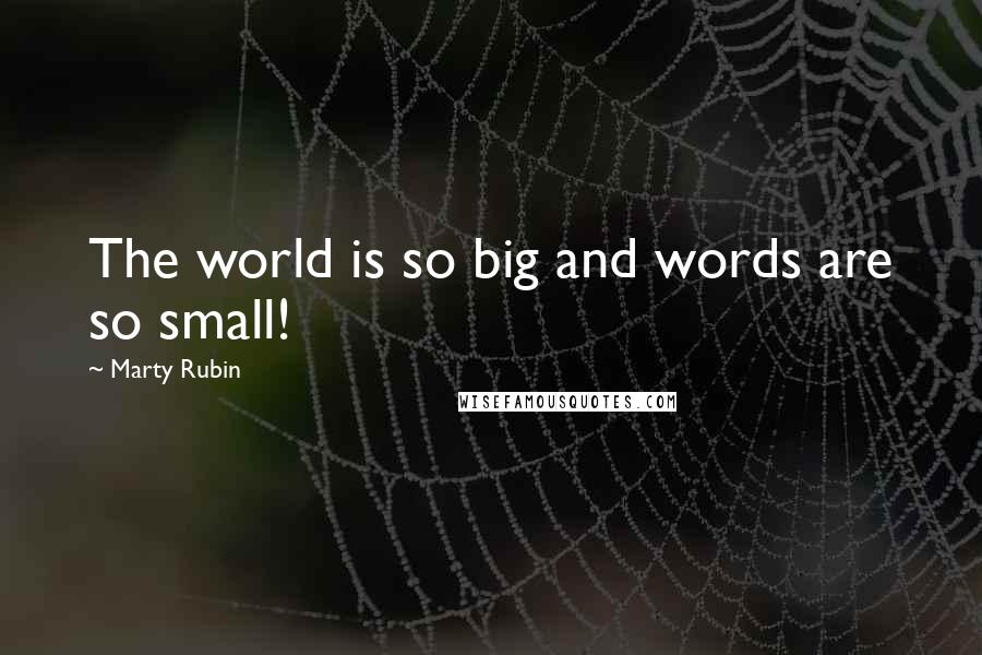 Marty Rubin Quotes: The world is so big and words are so small!