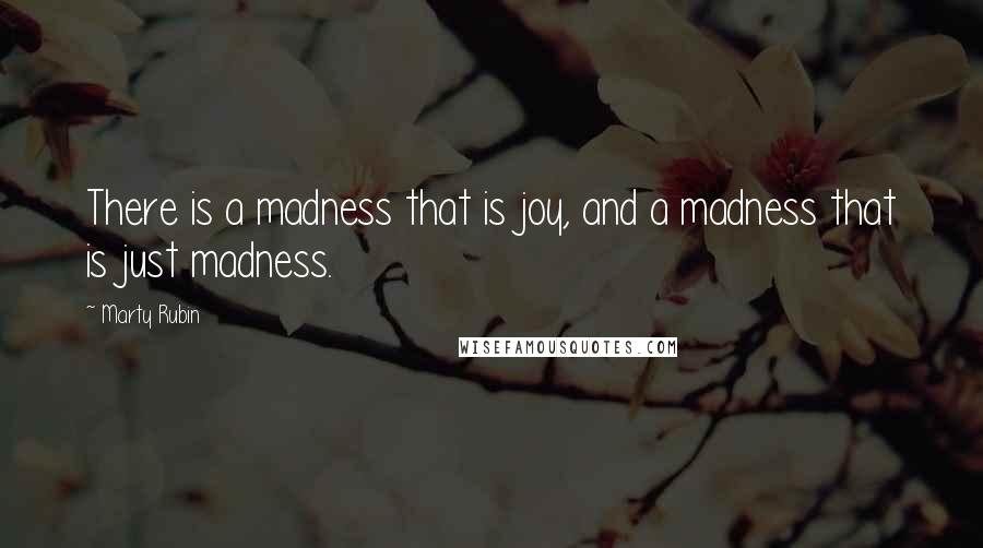 Marty Rubin Quotes: There is a madness that is joy, and a madness that is just madness.