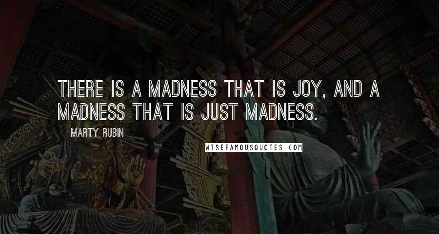 Marty Rubin Quotes: There is a madness that is joy, and a madness that is just madness.