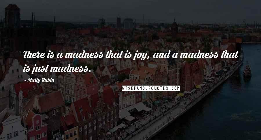Marty Rubin Quotes: There is a madness that is joy, and a madness that is just madness.
