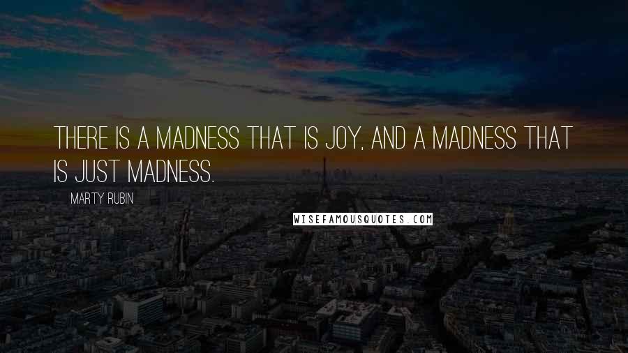Marty Rubin Quotes: There is a madness that is joy, and a madness that is just madness.