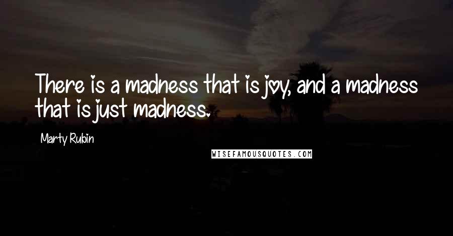 Marty Rubin Quotes: There is a madness that is joy, and a madness that is just madness.