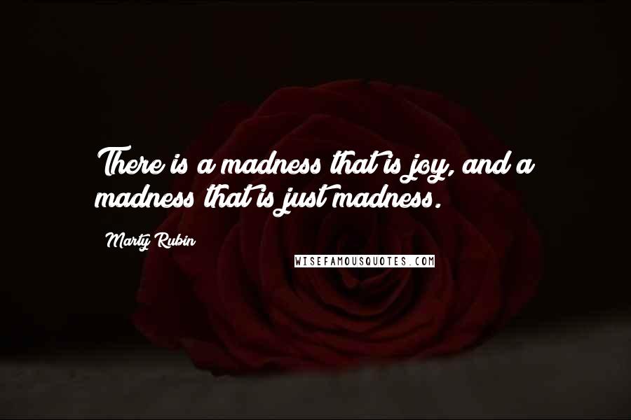 Marty Rubin Quotes: There is a madness that is joy, and a madness that is just madness.