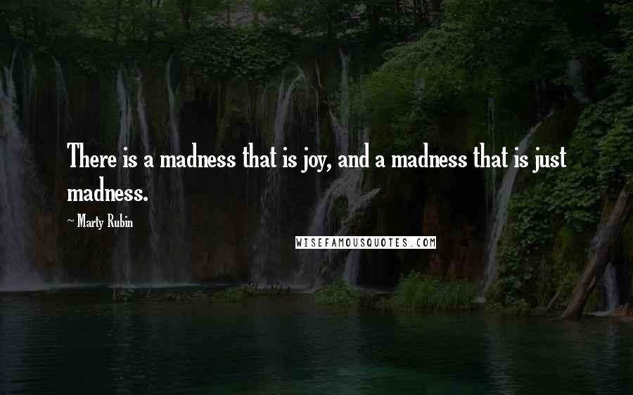 Marty Rubin Quotes: There is a madness that is joy, and a madness that is just madness.