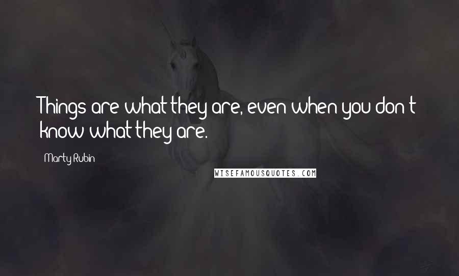 Marty Rubin Quotes: Things are what they are, even when you don't know what they are.