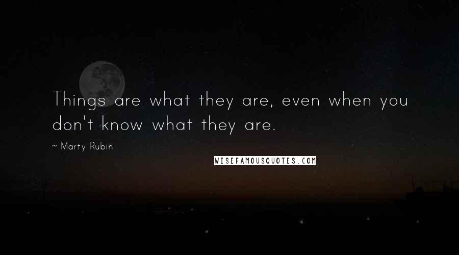 Marty Rubin Quotes: Things are what they are, even when you don't know what they are.