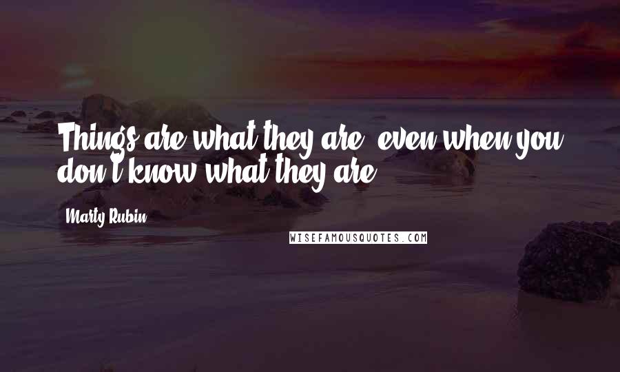 Marty Rubin Quotes: Things are what they are, even when you don't know what they are.