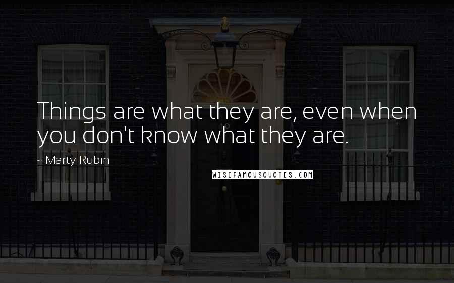 Marty Rubin Quotes: Things are what they are, even when you don't know what they are.