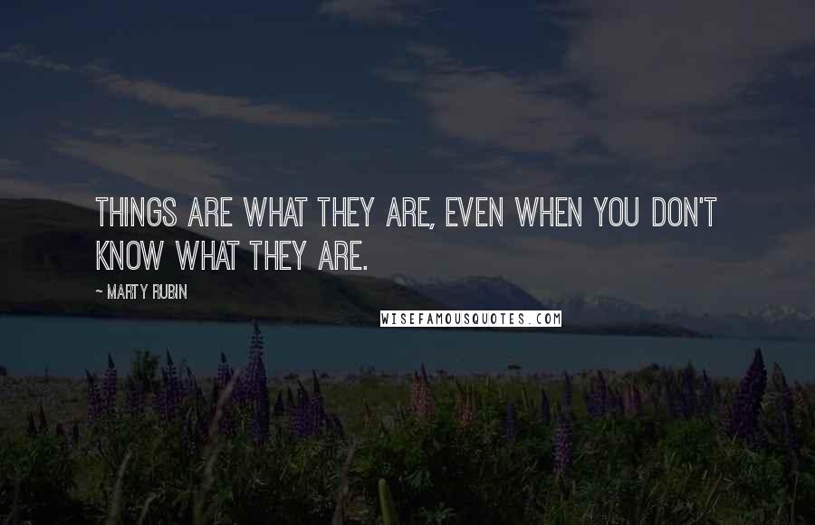 Marty Rubin Quotes: Things are what they are, even when you don't know what they are.