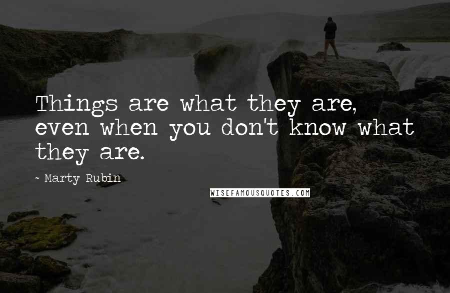 Marty Rubin Quotes: Things are what they are, even when you don't know what they are.