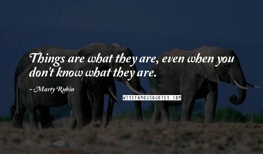 Marty Rubin Quotes: Things are what they are, even when you don't know what they are.