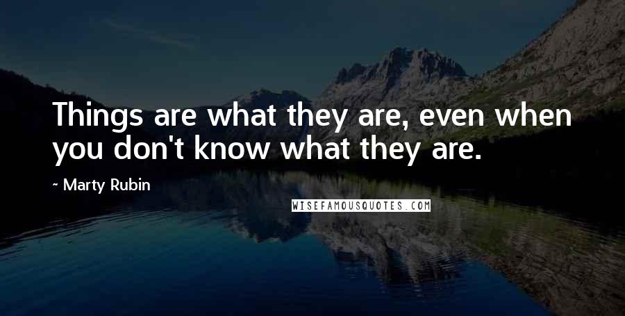 Marty Rubin Quotes: Things are what they are, even when you don't know what they are.