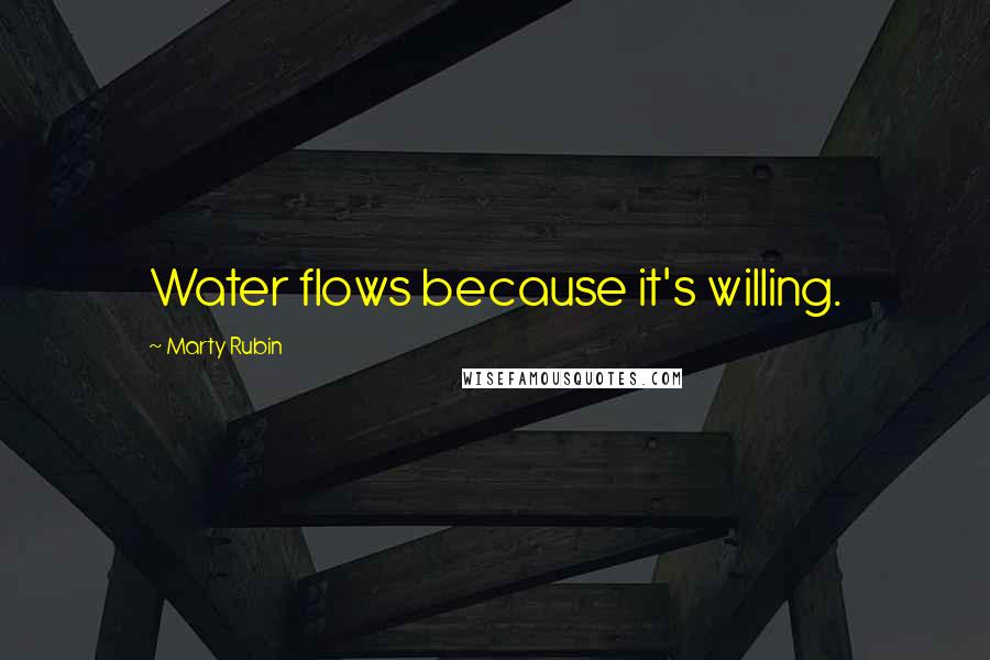 Marty Rubin Quotes: Water flows because it's willing.