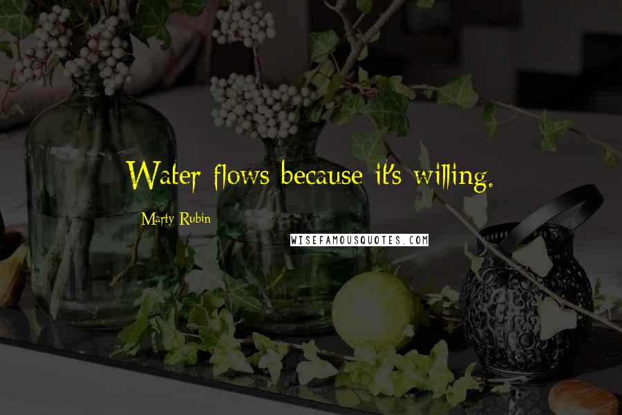 Marty Rubin Quotes: Water flows because it's willing.
