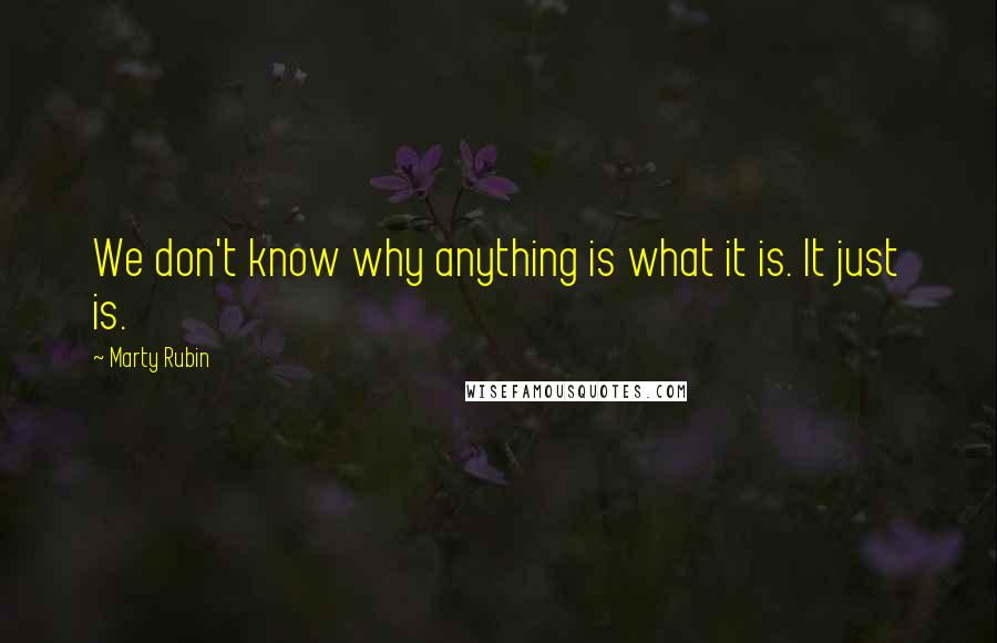 Marty Rubin Quotes: We don't know why anything is what it is. It just is.