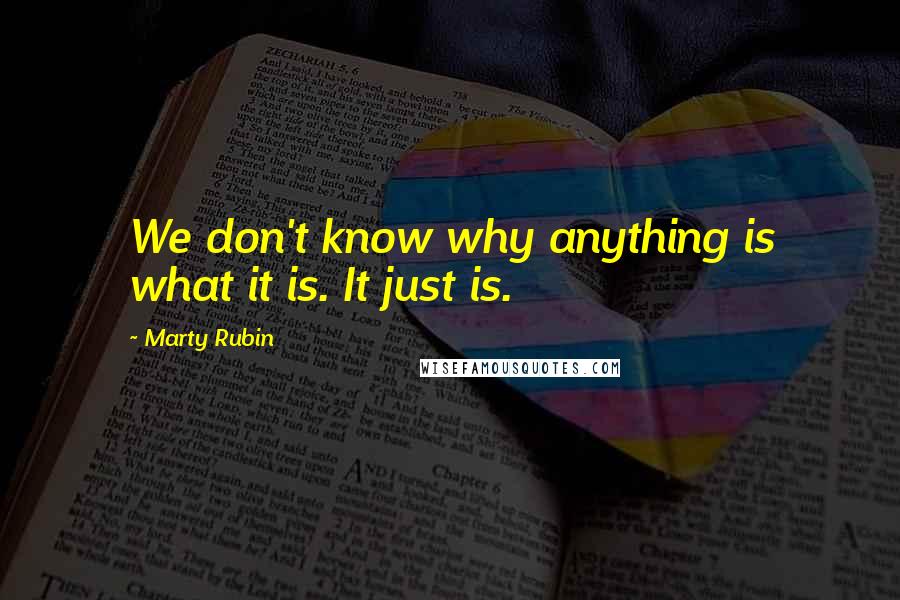 Marty Rubin Quotes: We don't know why anything is what it is. It just is.