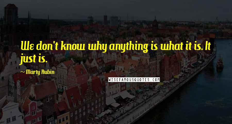 Marty Rubin Quotes: We don't know why anything is what it is. It just is.