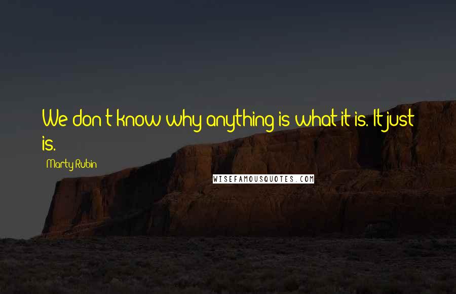 Marty Rubin Quotes: We don't know why anything is what it is. It just is.
