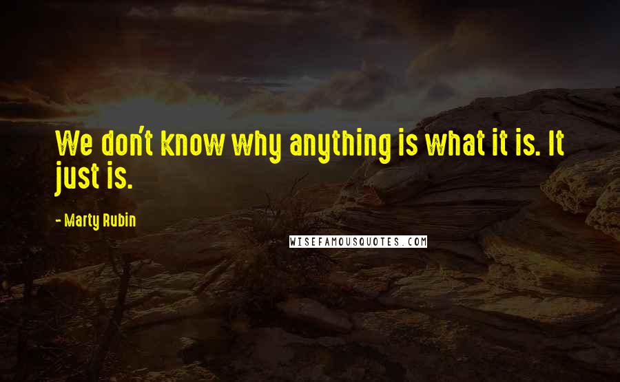 Marty Rubin Quotes: We don't know why anything is what it is. It just is.