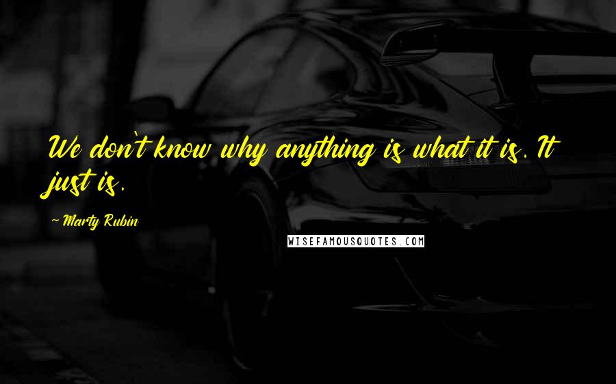 Marty Rubin Quotes: We don't know why anything is what it is. It just is.