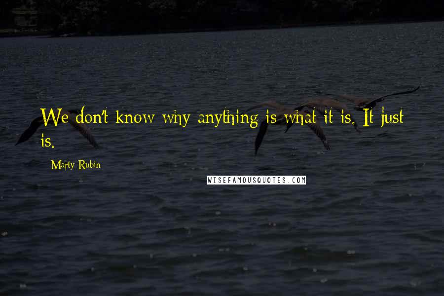 Marty Rubin Quotes: We don't know why anything is what it is. It just is.