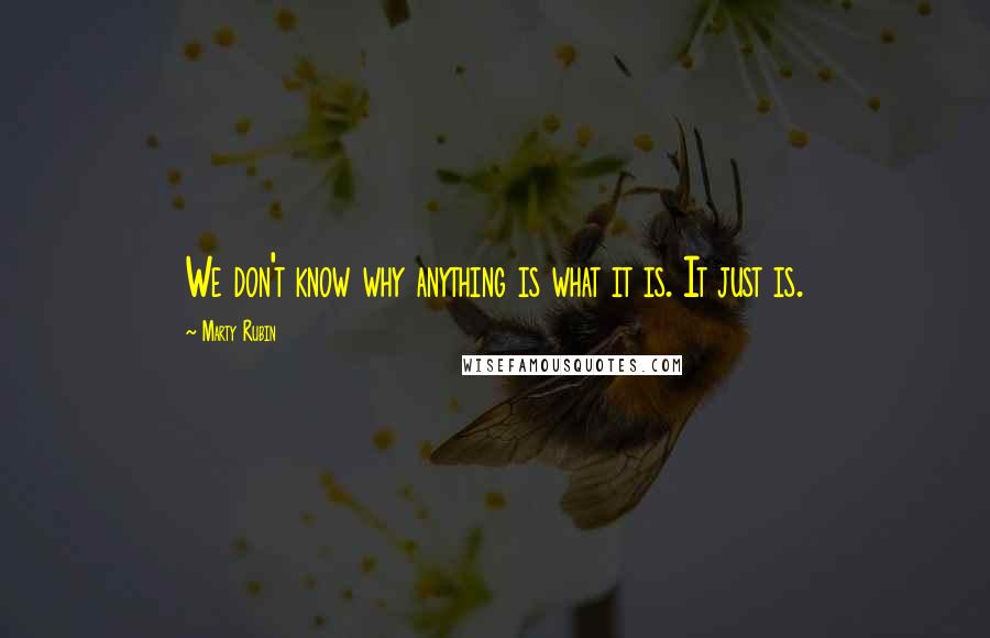 Marty Rubin Quotes: We don't know why anything is what it is. It just is.