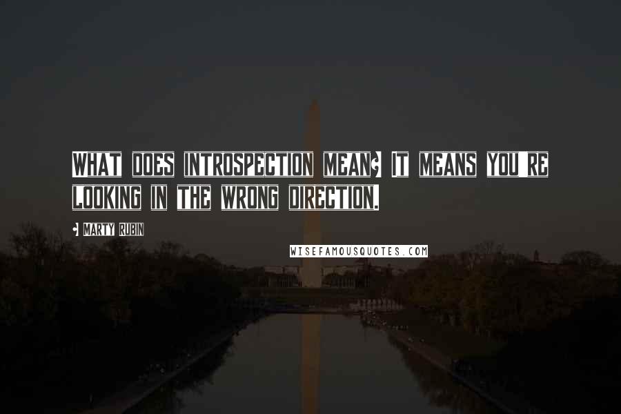 Marty Rubin Quotes: What does introspection mean? It means you're looking in the wrong direction.
