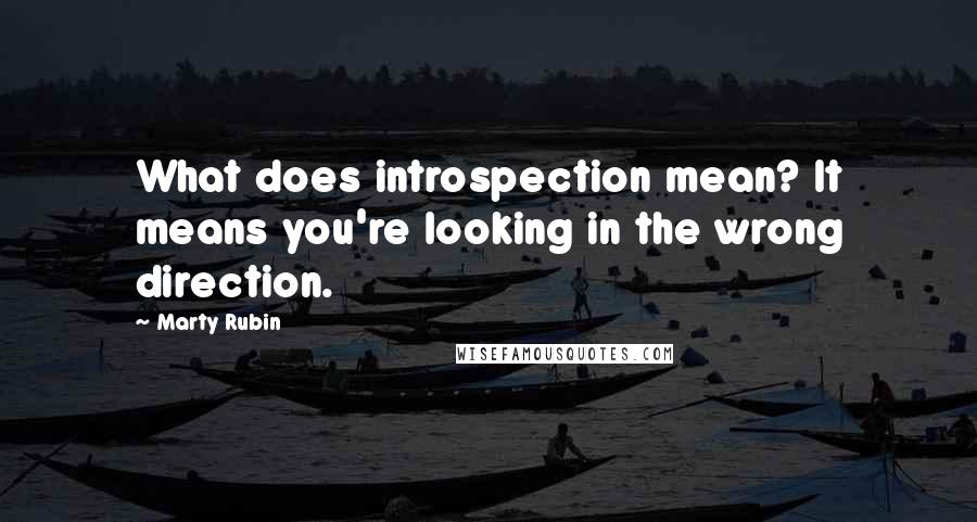 Marty Rubin Quotes: What does introspection mean? It means you're looking in the wrong direction.