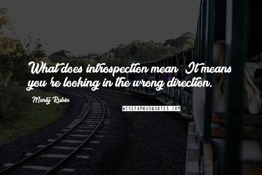 Marty Rubin Quotes: What does introspection mean? It means you're looking in the wrong direction.