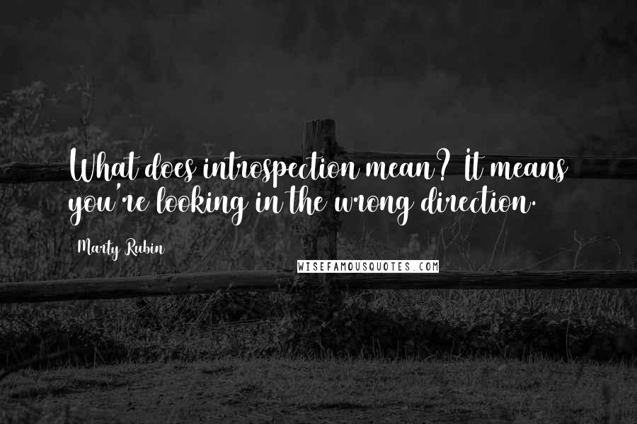 Marty Rubin Quotes: What does introspection mean? It means you're looking in the wrong direction.