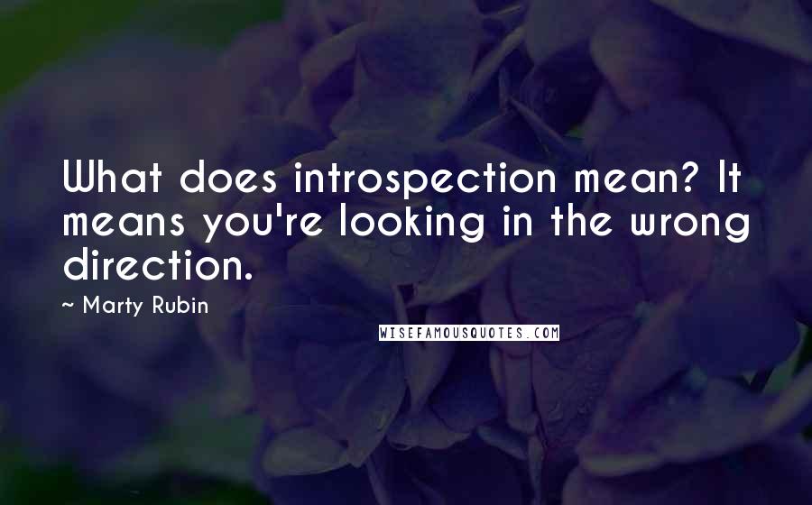 Marty Rubin Quotes: What does introspection mean? It means you're looking in the wrong direction.