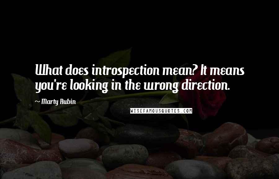 Marty Rubin Quotes: What does introspection mean? It means you're looking in the wrong direction.