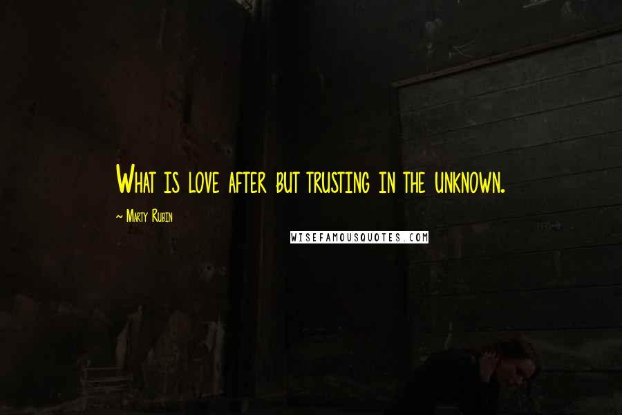 Marty Rubin Quotes: What is love after but trusting in the unknown.