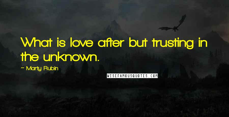 Marty Rubin Quotes: What is love after but trusting in the unknown.