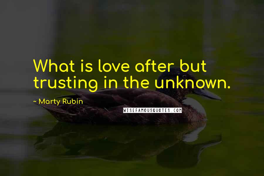 Marty Rubin Quotes: What is love after but trusting in the unknown.