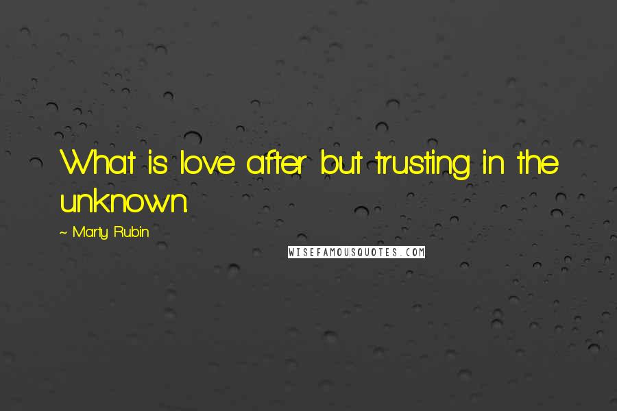 Marty Rubin Quotes: What is love after but trusting in the unknown.