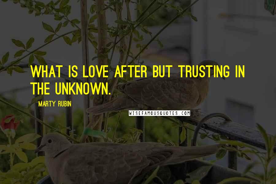Marty Rubin Quotes: What is love after but trusting in the unknown.