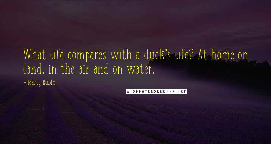 Marty Rubin Quotes: What life compares with a duck's life? At home on land, in the air and on water.