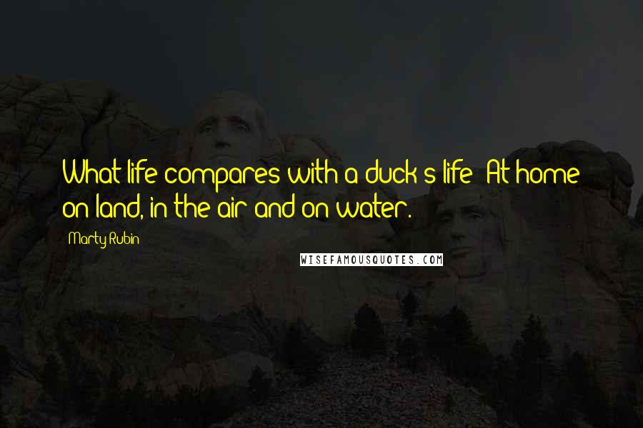 Marty Rubin Quotes: What life compares with a duck's life? At home on land, in the air and on water.