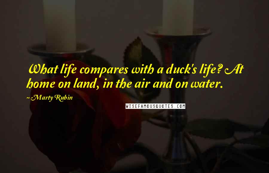Marty Rubin Quotes: What life compares with a duck's life? At home on land, in the air and on water.