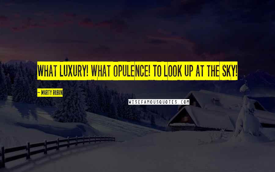 Marty Rubin Quotes: What luxury! What opulence! To look up at the sky!