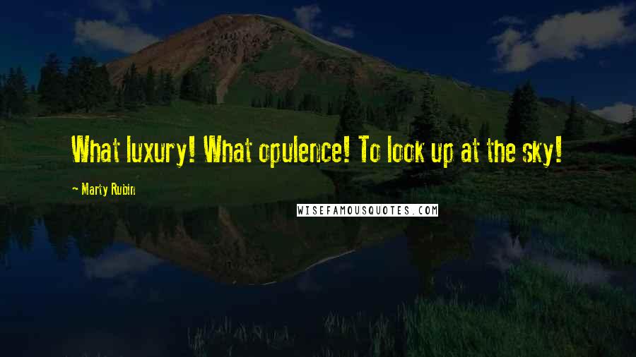 Marty Rubin Quotes: What luxury! What opulence! To look up at the sky!