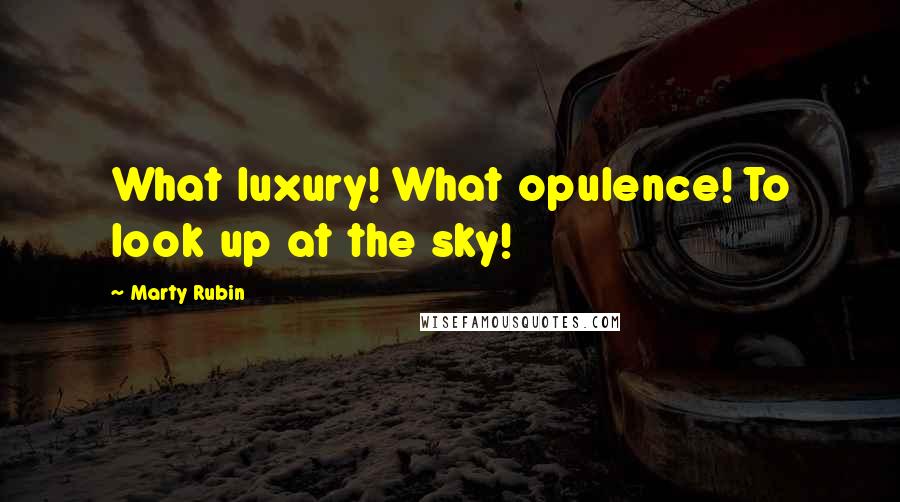 Marty Rubin Quotes: What luxury! What opulence! To look up at the sky!