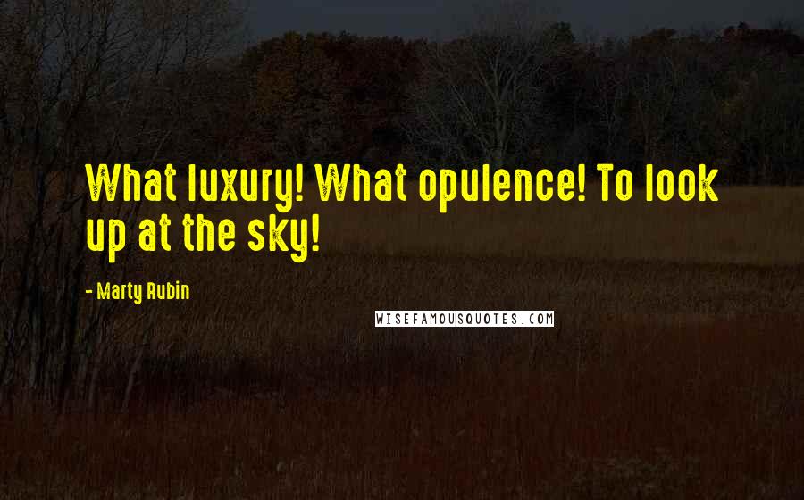 Marty Rubin Quotes: What luxury! What opulence! To look up at the sky!