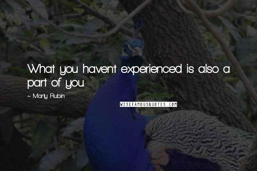 Marty Rubin Quotes: What you haven't experienced is also a part of you.